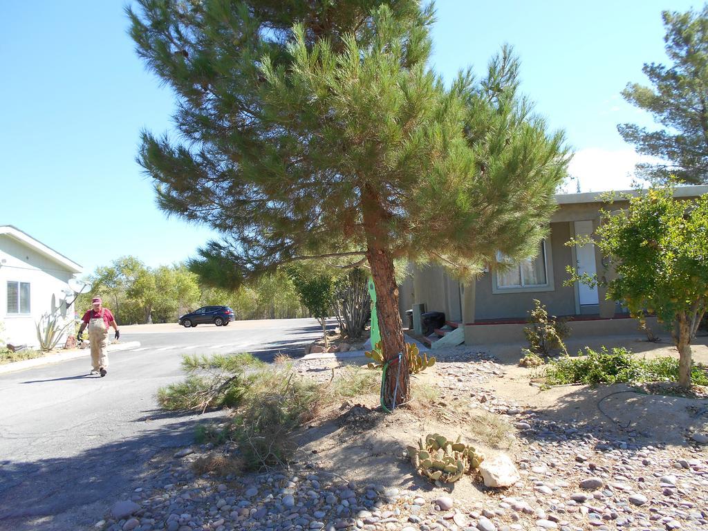 Atomic Inn Beatty Near Death Valley Екстериор снимка